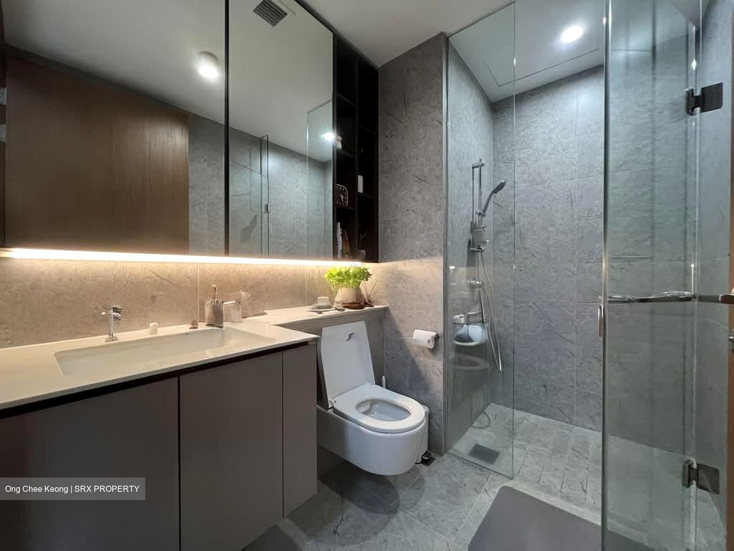 Verdale (D21), Apartment #572924651